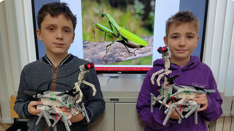 «Лига Роботов. Школа робототехники », Краснодар, 6 филиалов.