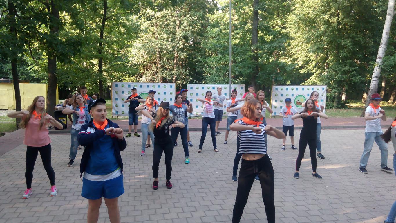 Сокол – оздоровительный лагерь, Белгород. Путевки в детский лагерь на 2024 год, фото 2