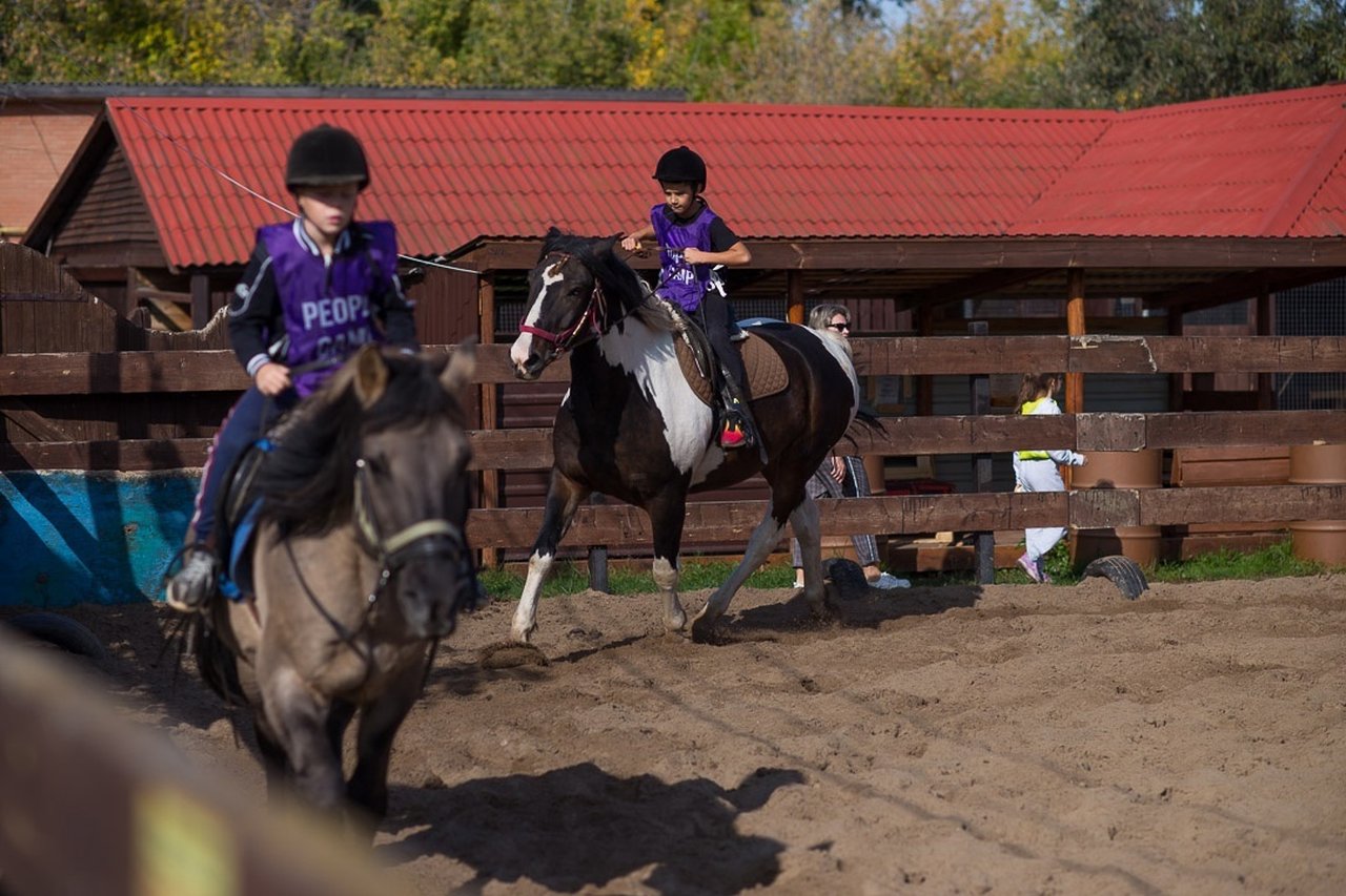 «Конная программа Ранчо», Самарская обл., Ставропольский р-н – 4.